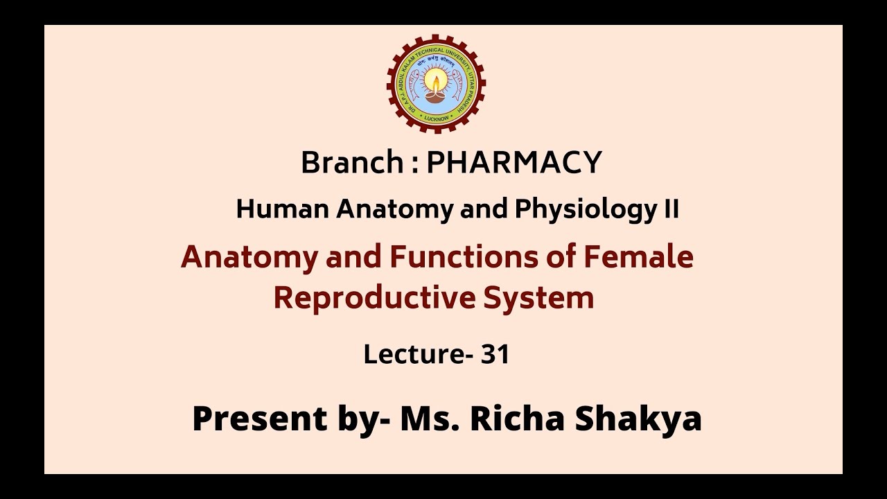 Human Anatomy & Physiology-II | AKTU Digital Education