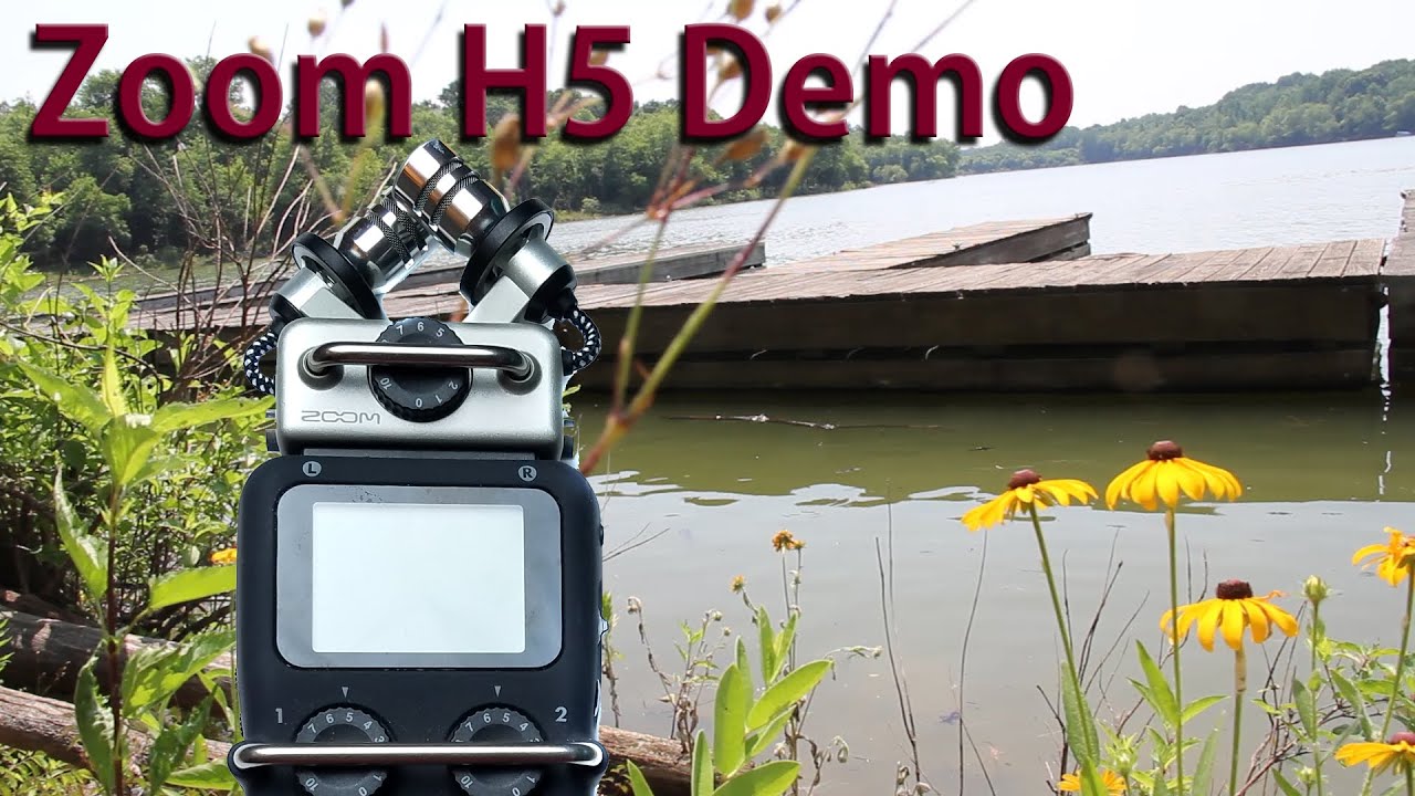 Zoom H5 Demo - Nature Sounds