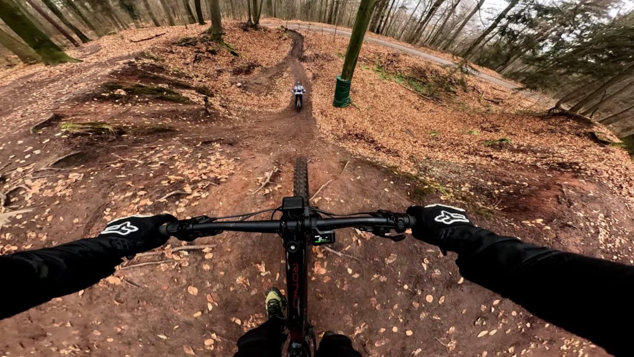MTB Korb Pures Abenteuer
