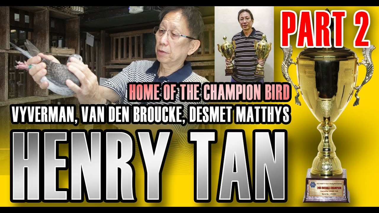 Episode 21 Mr. HENRY TAN - (PART 2) PHA MEMBER Pigeon Fancier