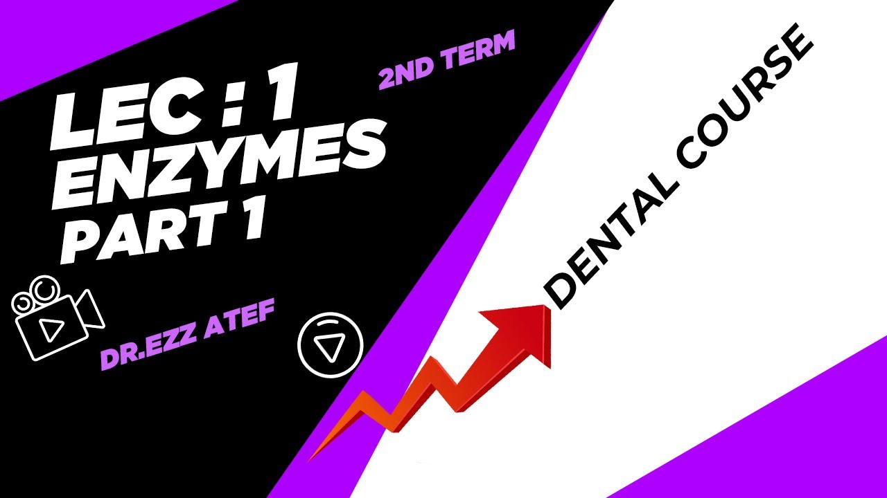 (1) - enzymes part 1- faculty of dentistry