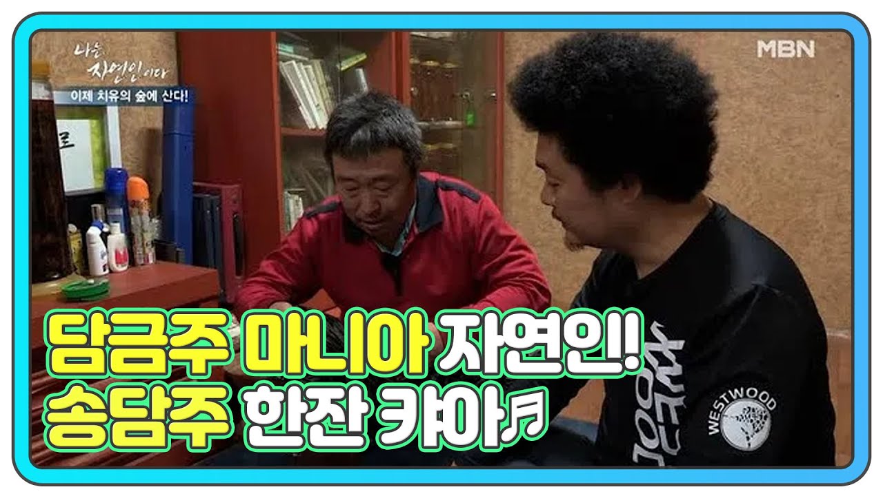 담금주 마니아 자연인! 송담주 한잔 캬아♬ MBN 200930 방송
