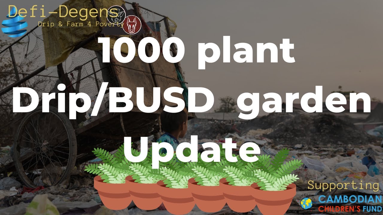 Drip Farm Drip Garden 1000 plant journey