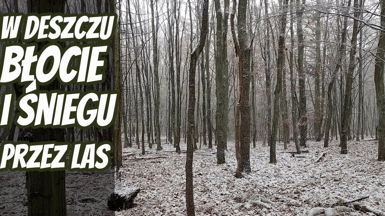 Deszczowo Śnieżna Wędrówka Przez Las - Jak skutecznie Poruszać Się Po Lesie.
