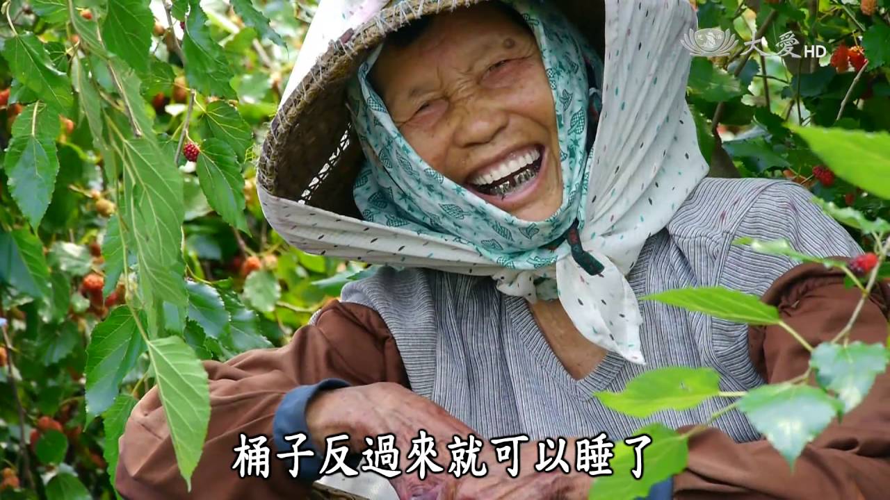 【農夫與他的田】20160725 - 傻瓜的桑葚日記