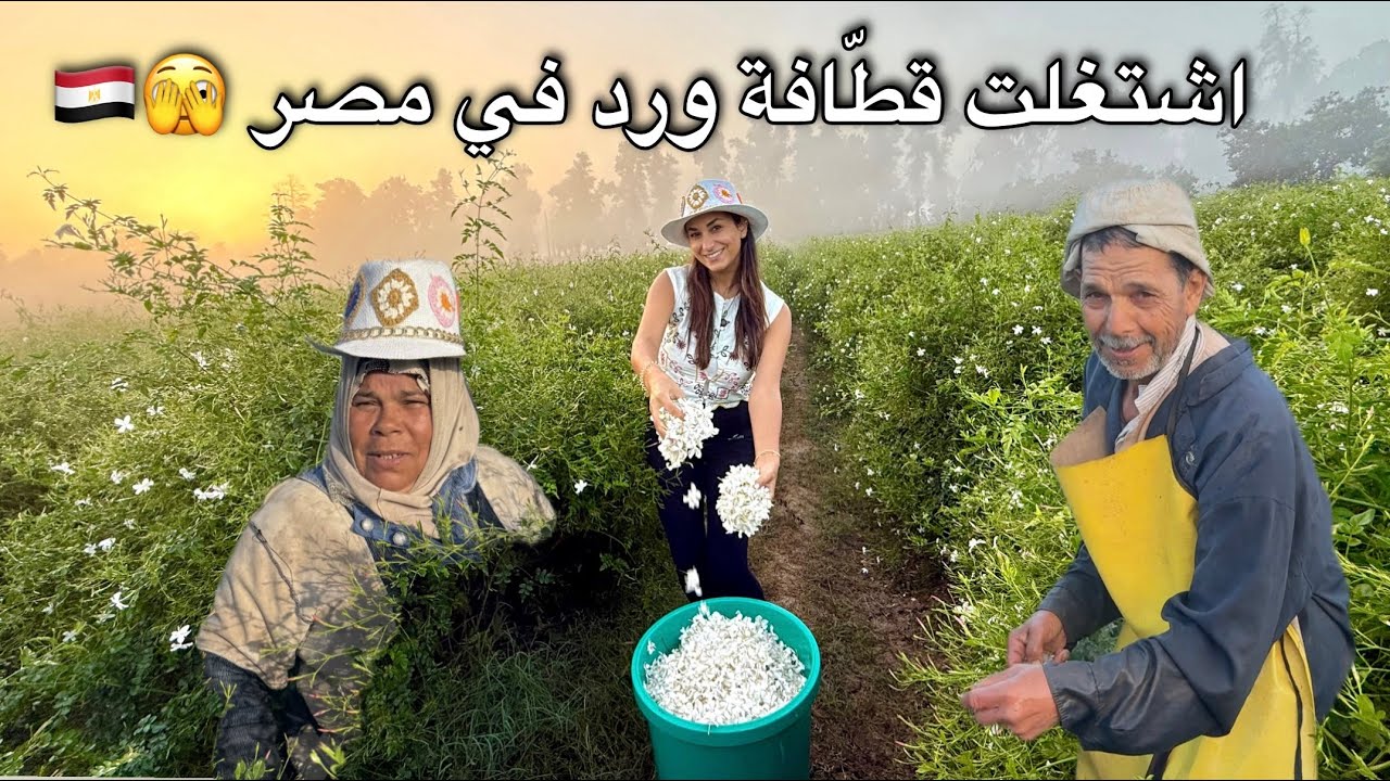 لبنانية في الريف المصري 🤭🇪🇬🇱🇧