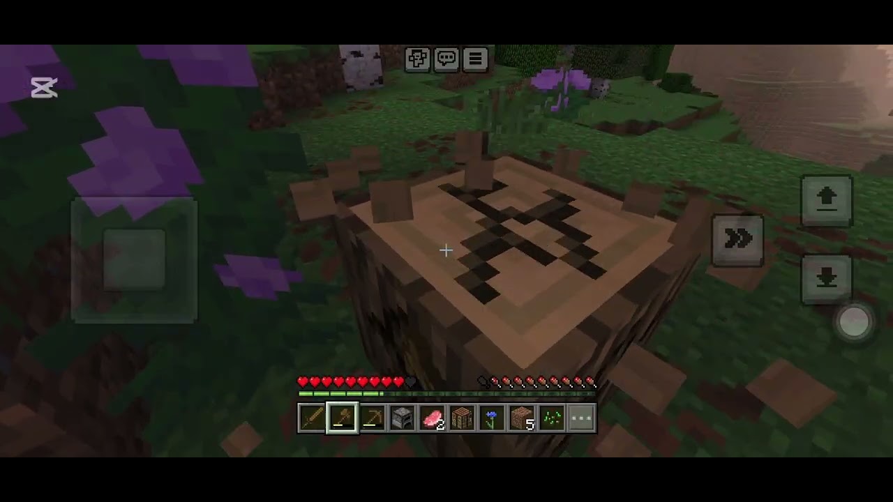 Minecraft ARG but the protagonist doesn’t know what is gonna happen soon. | EP1