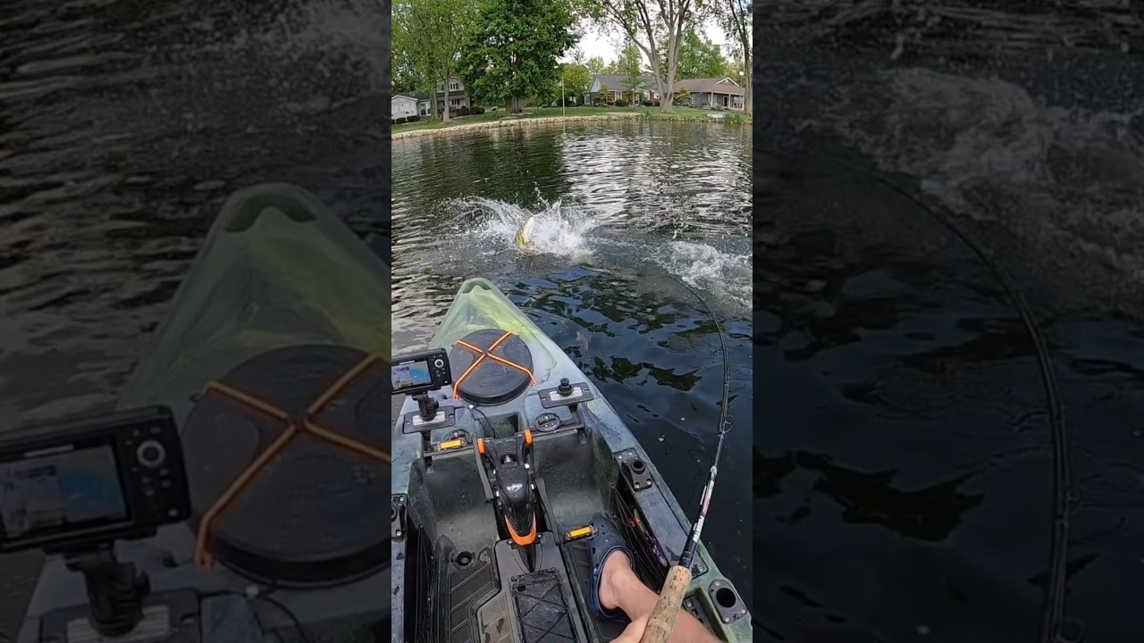 Another Lee Lures Boilermaker Kayak Fishing Muskie!
