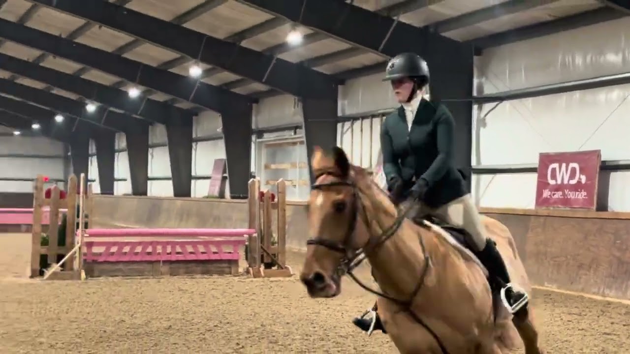 Jr. Hunter 3’ | Charlotte Mould and Big Reputation Z