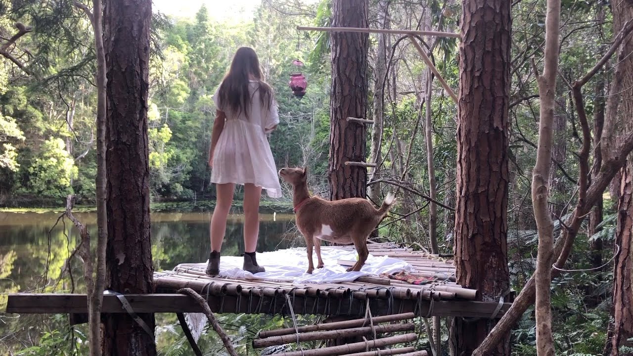 Summer Days in the Rainforest: Building a Bamboo Treehouse!