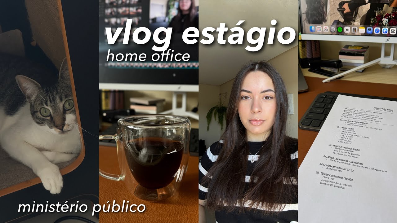 uma tarde comigo fazendo estágio home office no ministério público