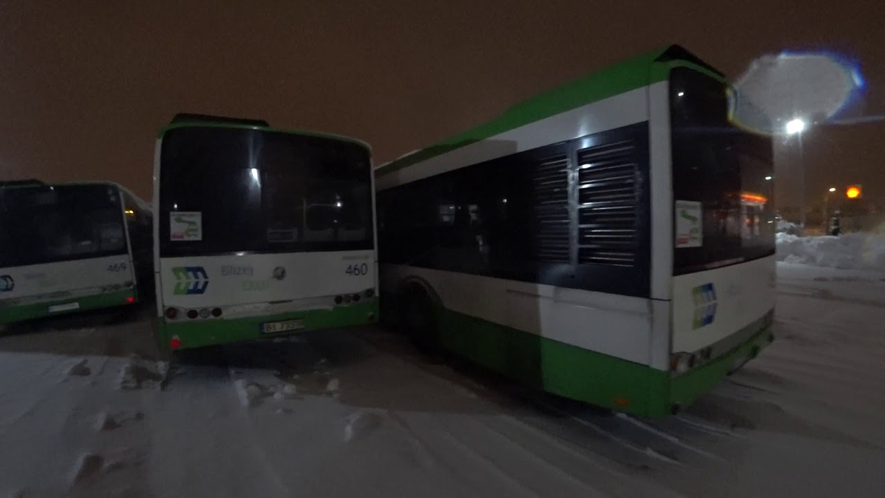 (135) DRZEWO SPADŁO NA AUTO. BIAŁYSTOK ZASYPANY ŚNIEGIEM.