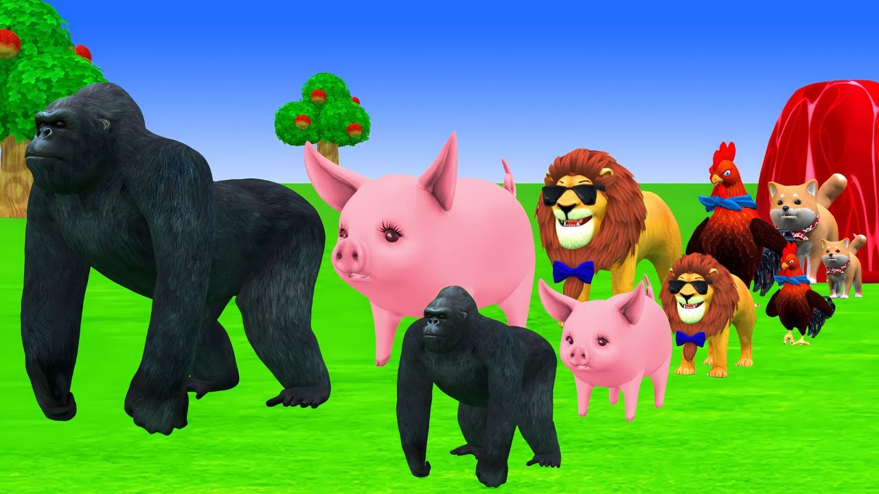 Long Slide Game With Cow Elephant Gorilla Hippopotamus Tiger 3d Animal Game Funny 3d Animals