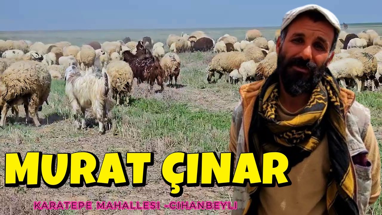 MURAT ÇINAR - HAYMANA KARALARI