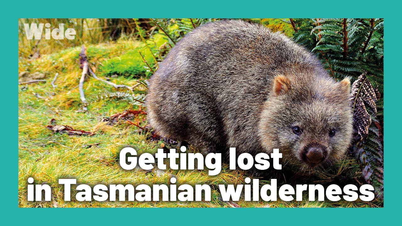 Cradle Mountain: A ageless landscape | WIDE