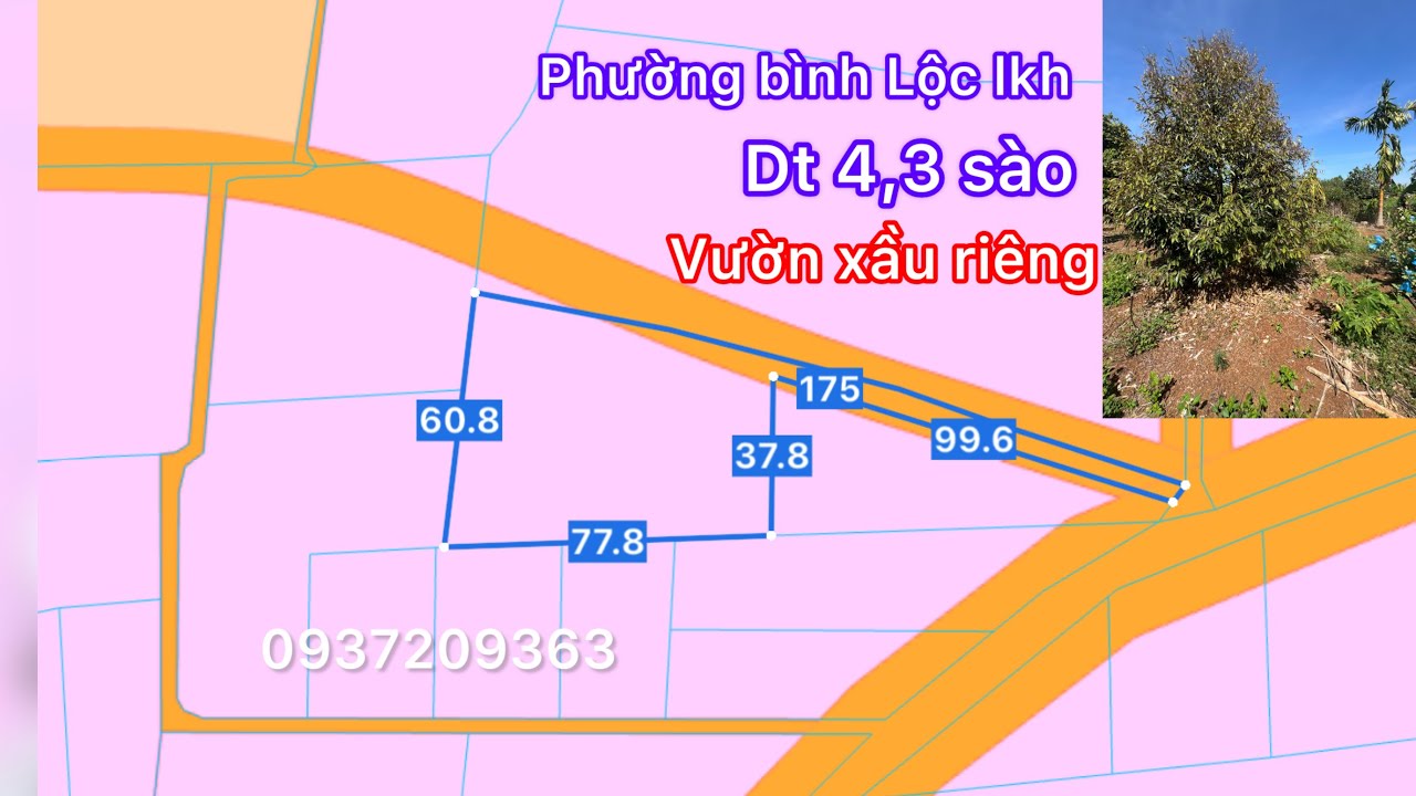 Cô chủ cần bán lô đất gấp tra ngân hàng phải bán vườn xầu riêng tại phường bình Lộc lkh đồng Nai