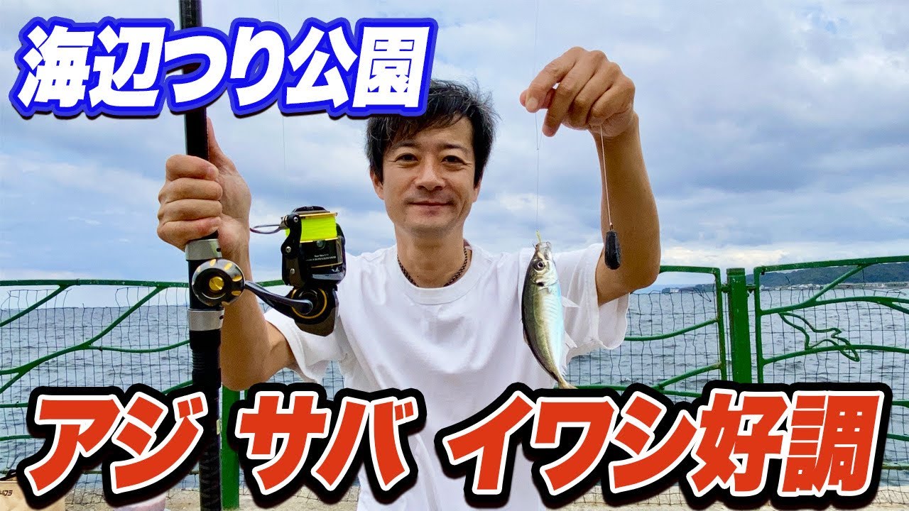 【横須賀海辺つり公園】検証！カゴ釣り 遠投サビキ釣り 足元サビキ釣りで最も釣果が良かったのは？