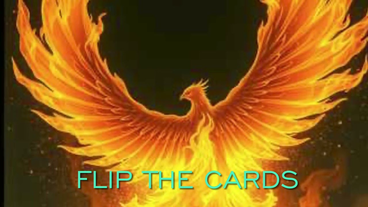 Flip the Cards 