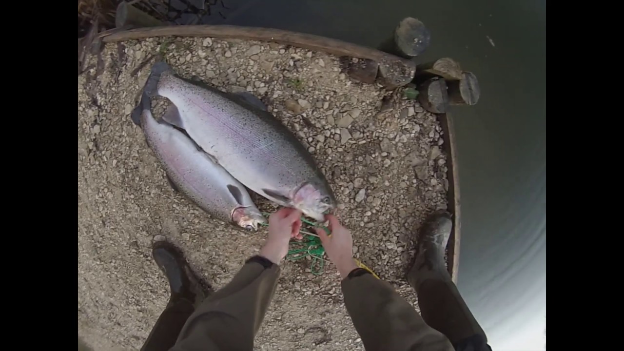 #7: Martyn Williams Fishing With Pink Snakes At Lechlade