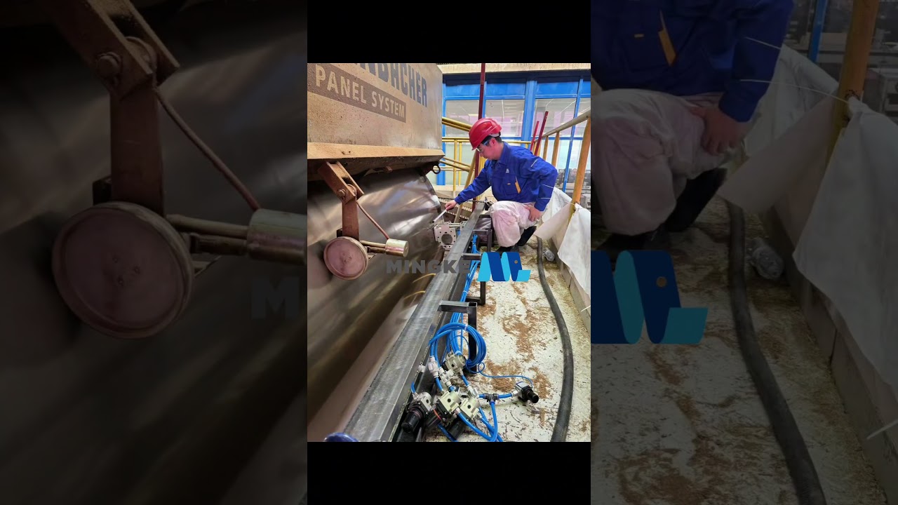 Overseas Customer Site from Wood-based Panel Industry