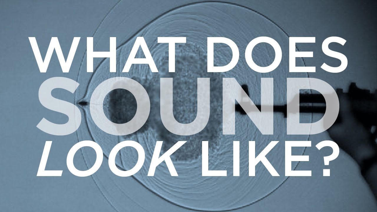 What Does Sound Look Like? | SKUNK BEAR
