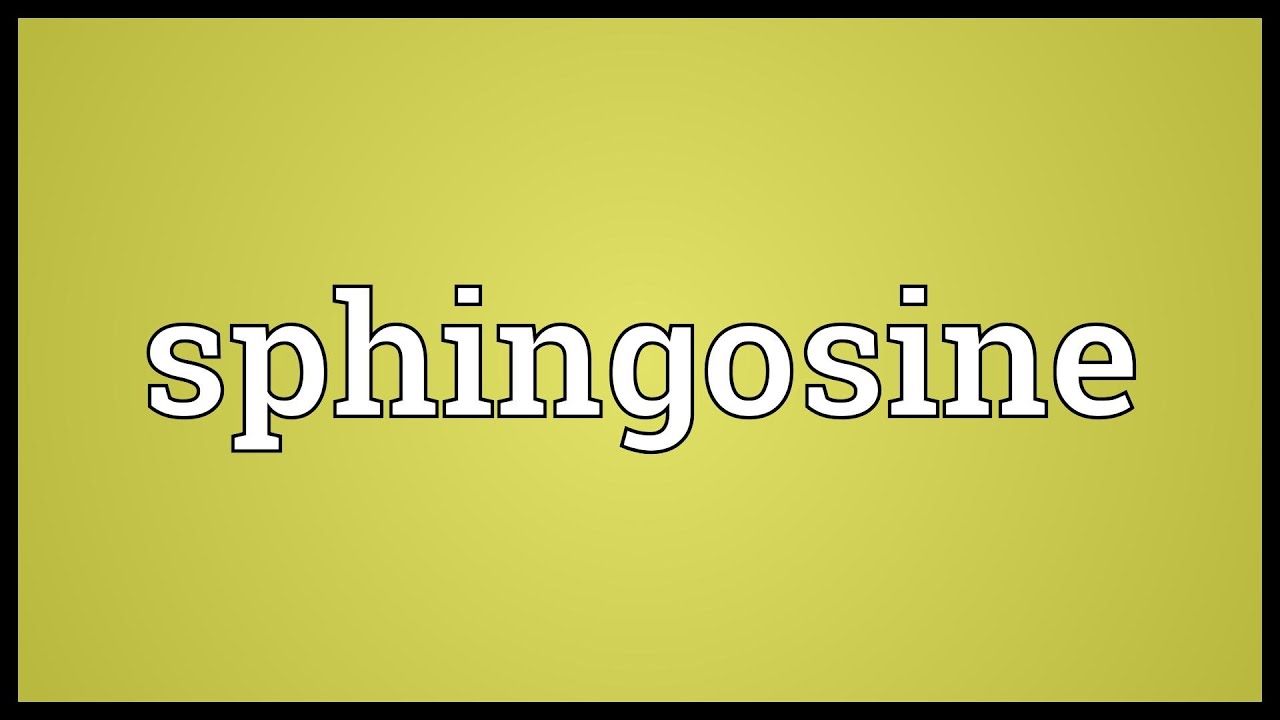 Sphingosine Meaning
