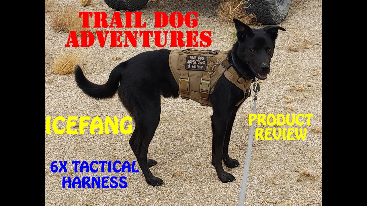 Icefang- Tactical 6x Buckle Dog Harness Product Review