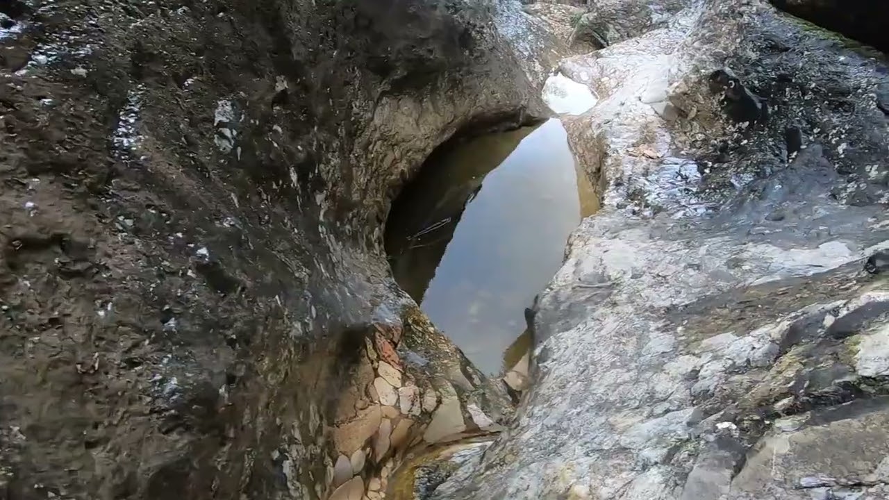 Barranco Lenases Pipistrellus CMP