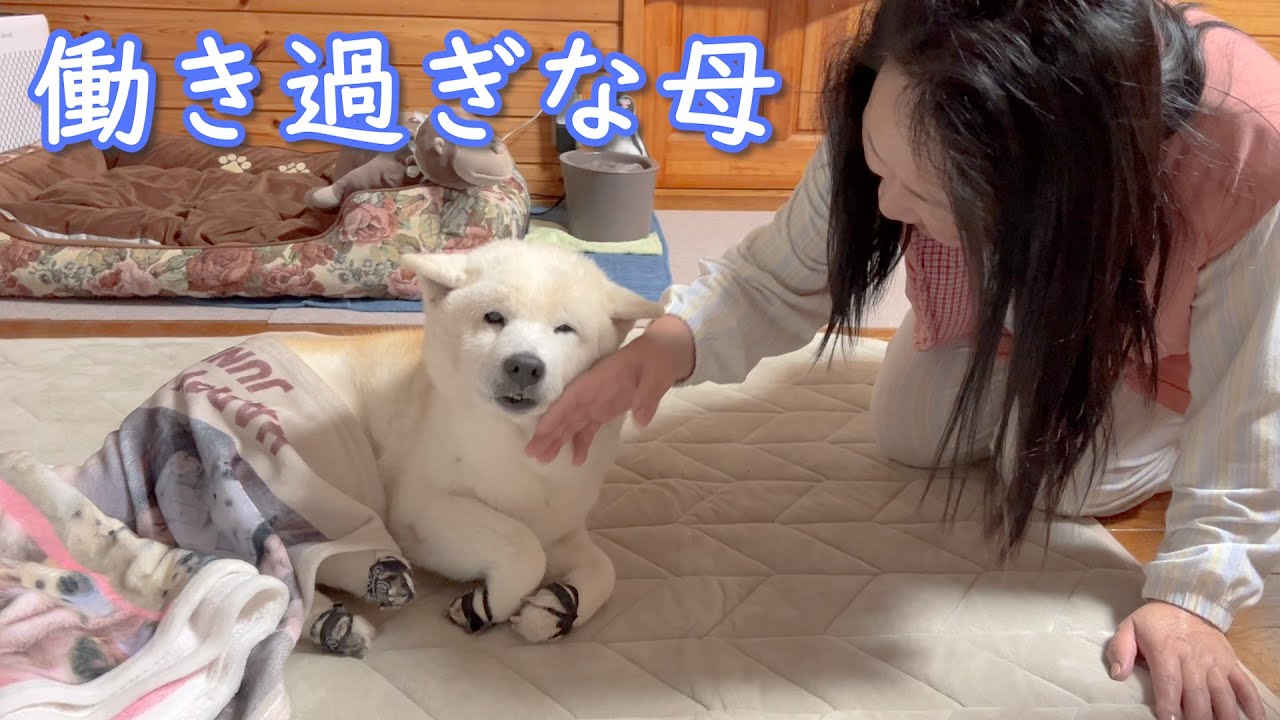 【働き過ぎな母】朝起きてから仕事に行くまでのリアルモーニングルーティン
