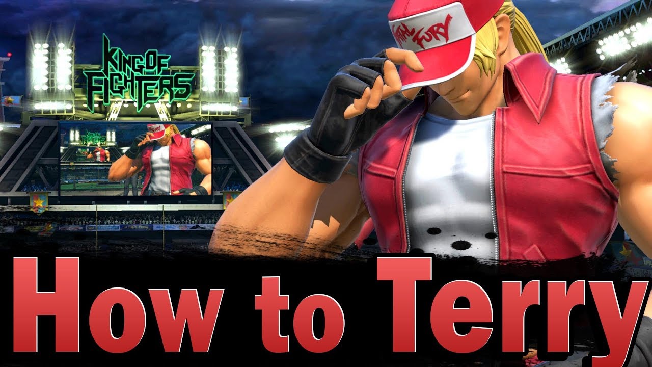Smash Ultimate: How to Terry