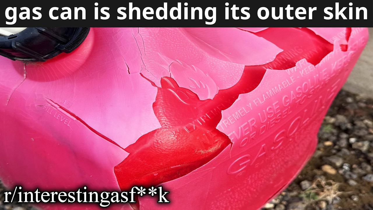 r/interestingasf**k | Он линяет 🥰
