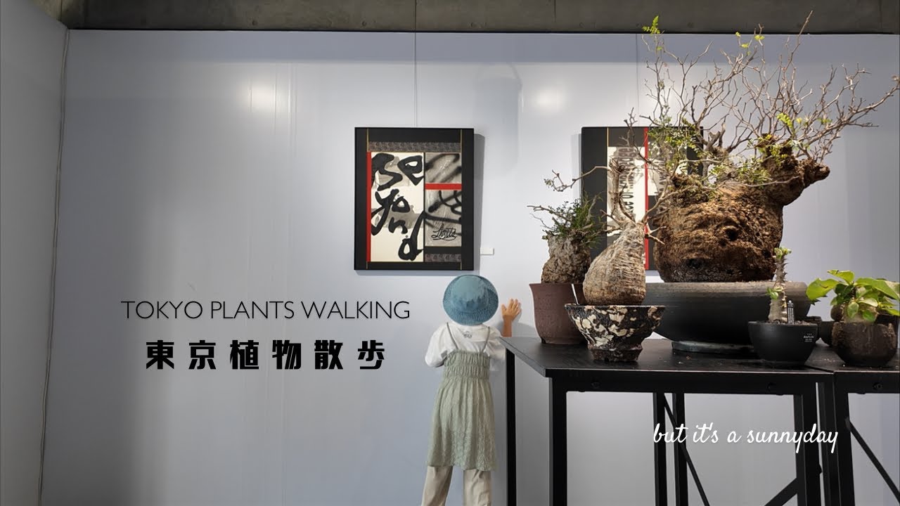 【東京植物散歩】RAFLUMの和魂洋才をレポート！珍奇植物とアートと盆栽を融合した空間に刺激されてセンナを盆栽風にしてみました