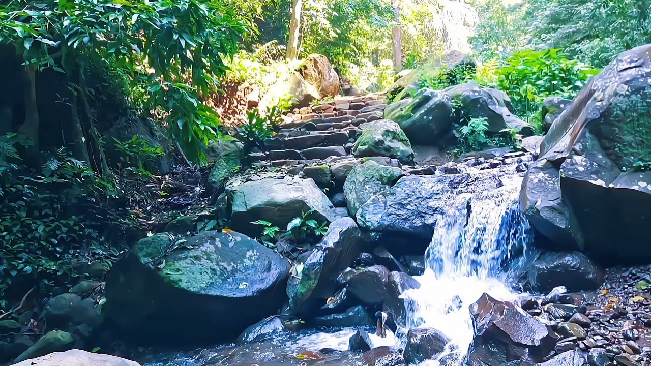 Natural River Ambience for Relaxed Sleep