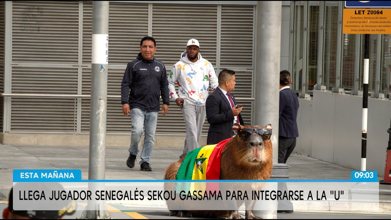 🎙️🔥⚽ ¡Pónganse de acuerdo! | Trisano TV | 2026