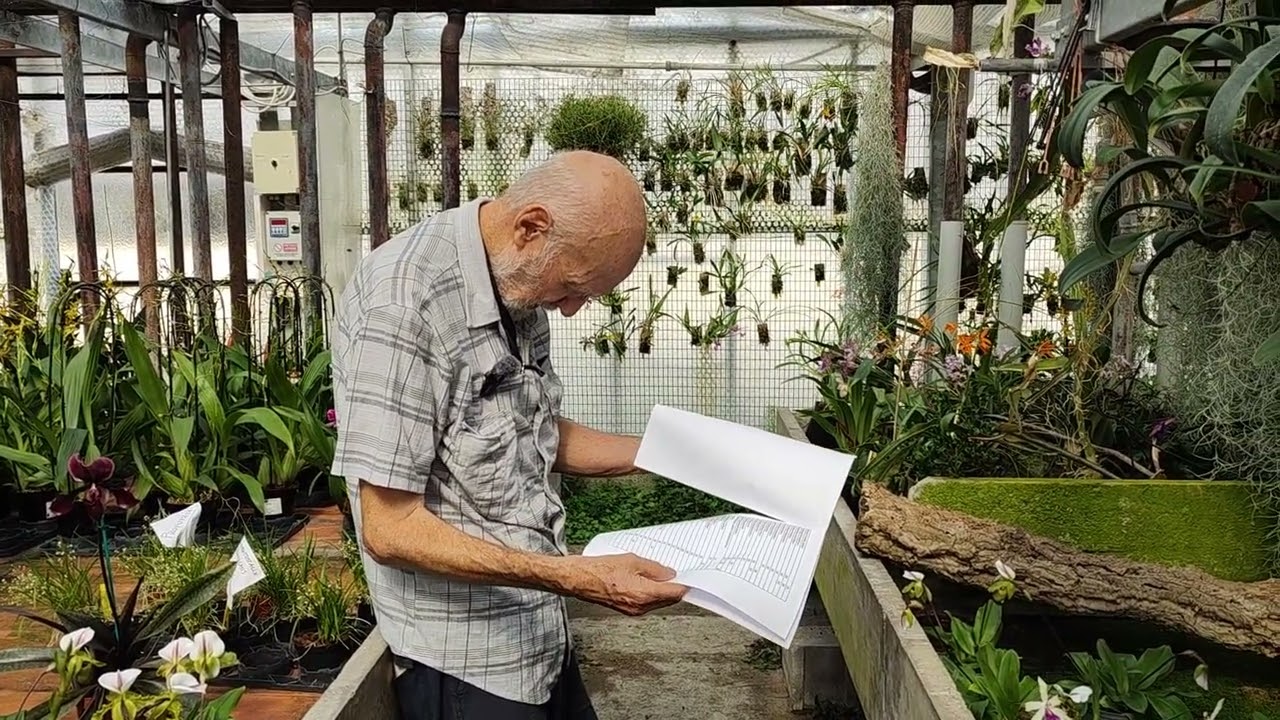 Orchidee, nuovo listino zattere, per l'occasione 20% di sconto fino a fine mese