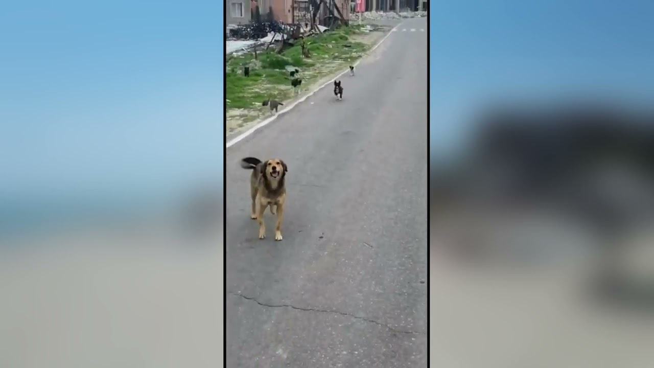 Затока 2023