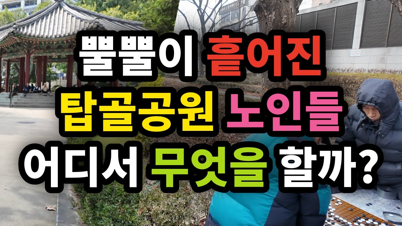 뿔뿔이 흩어진 탑골공원 노인들은 어디서 무엇을 할까? - 원더풀 인생후반전