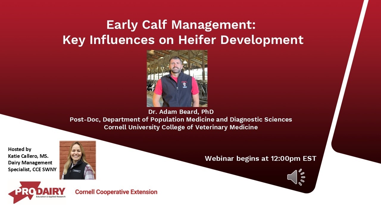 Boots in the Barn: Early Calf Management: Key Influences on Heifer Development.