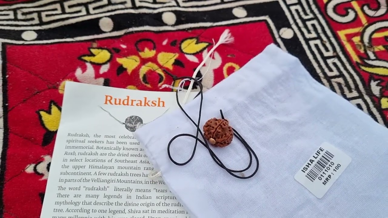 The BEST rudraksh for your child | आपके बच्चे के लिए सर्वोत्तम रूद्राक्ष