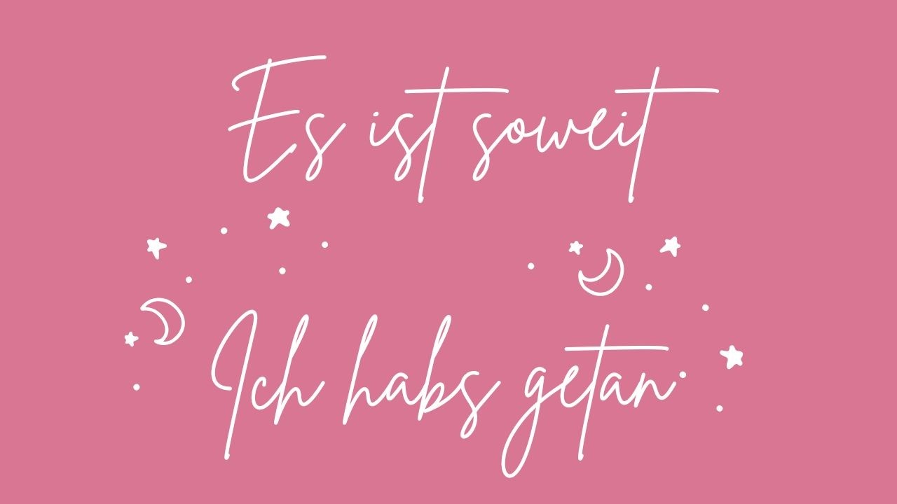Es ist soweit- Ich hab's getan | Sterling Ink vs. Hobonichi Cousin | #journalwithme #planwithme