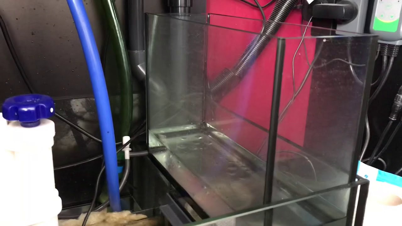 Refugium time! Converting the auto top up reservoir into a refugium on the Red Sea reefer