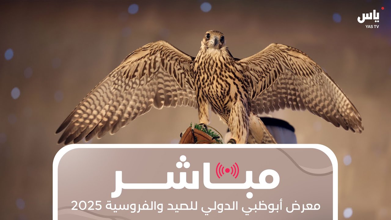 معرض أبوظبي الدولي للصيد والفروسية 2025 | يوم 6 سبتمبر