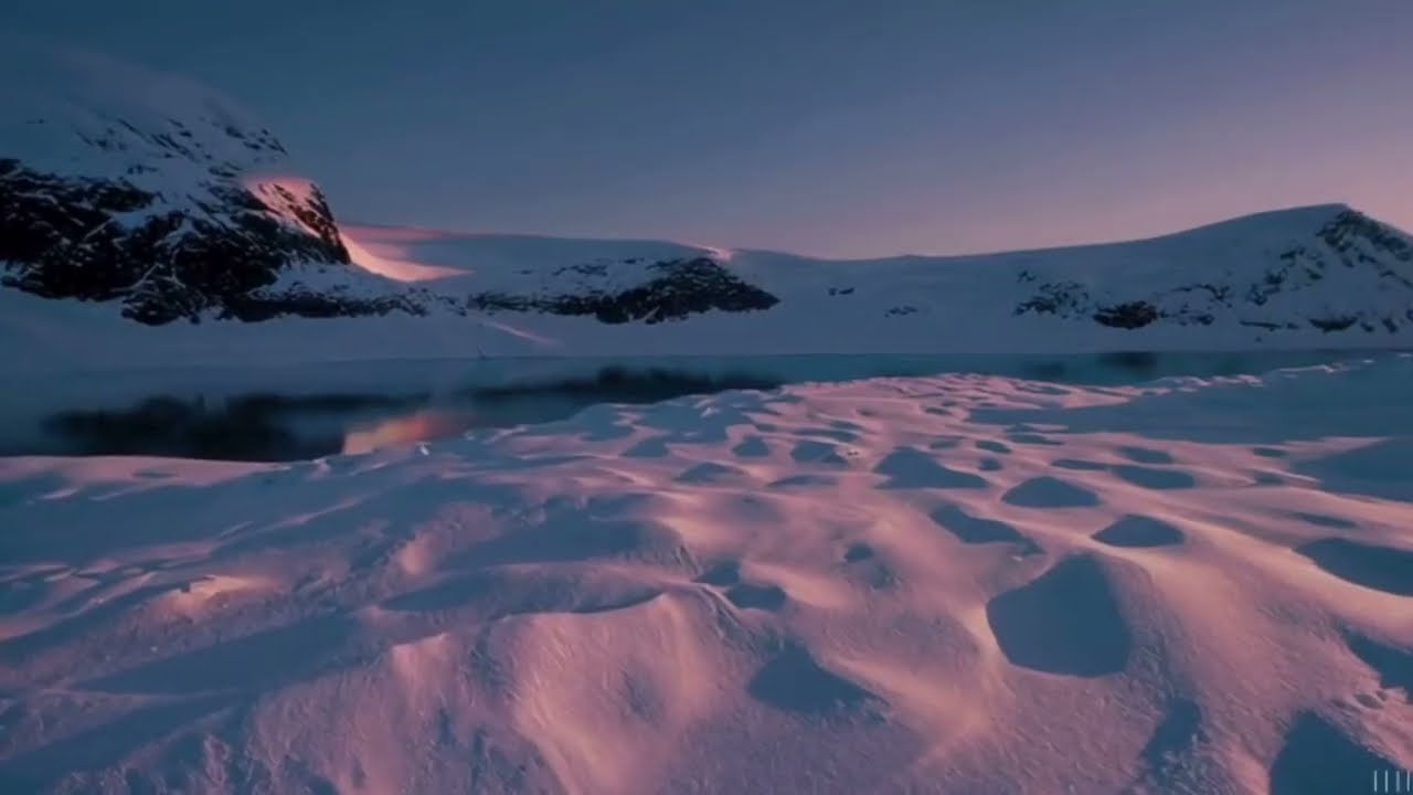 SUMMER'S IA - Arctic (Progressive House)
