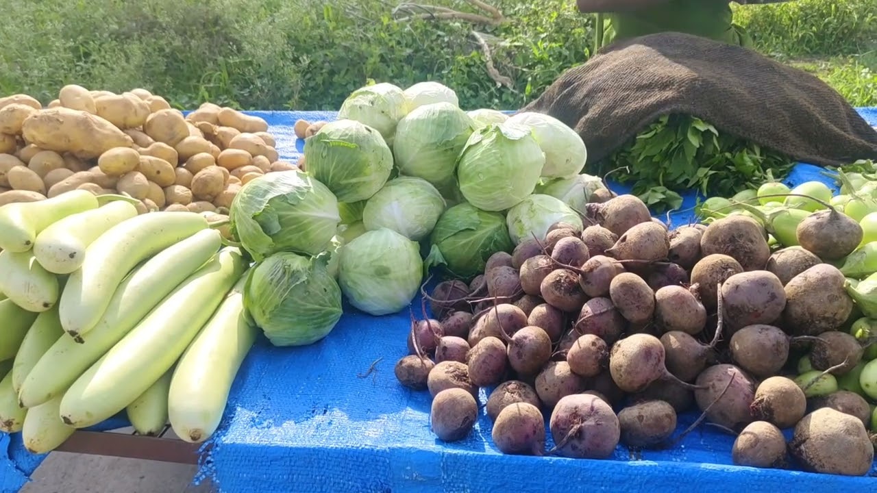 Weekly vegetable mart in my colony. Purchasing vegitables, aloo, kaddu, tomato 🍅🥒🥒🍅