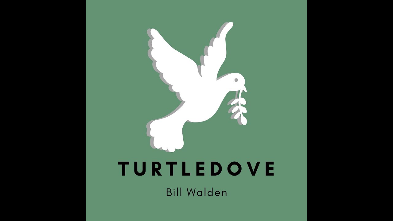 I Miss You Mama, by Bill Walden