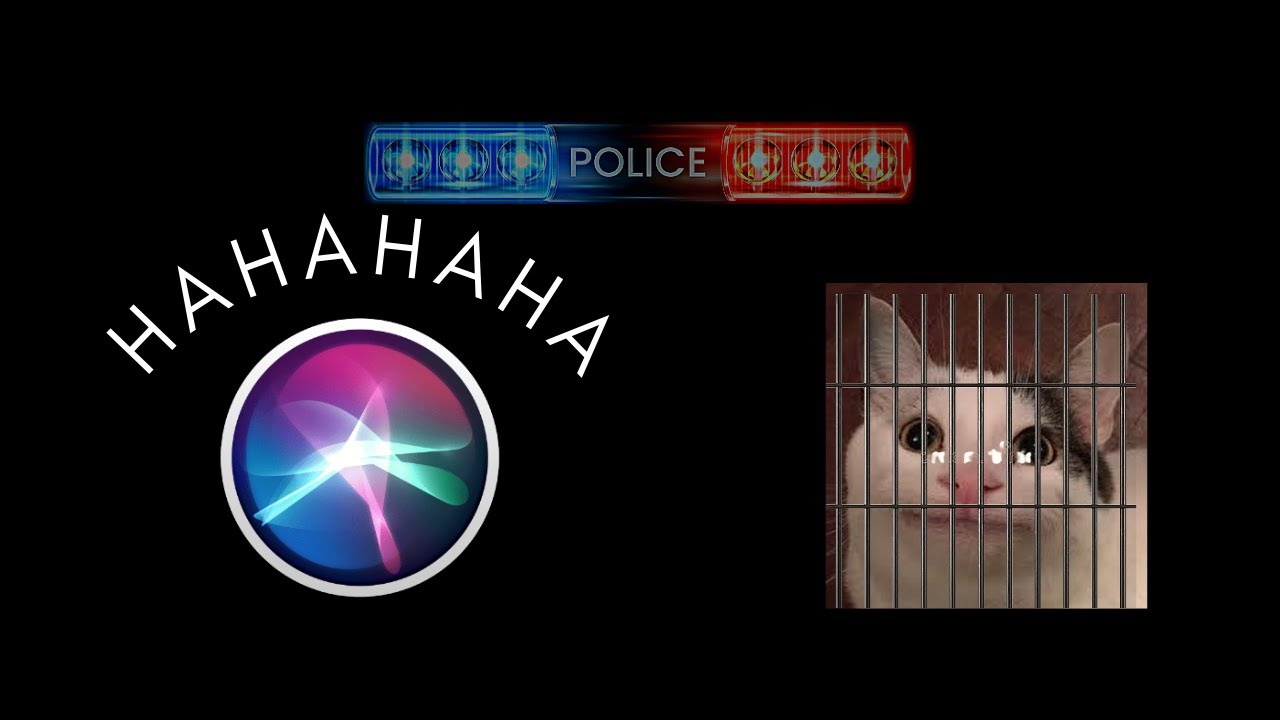 When Siri Destroyed Beluga's Life...