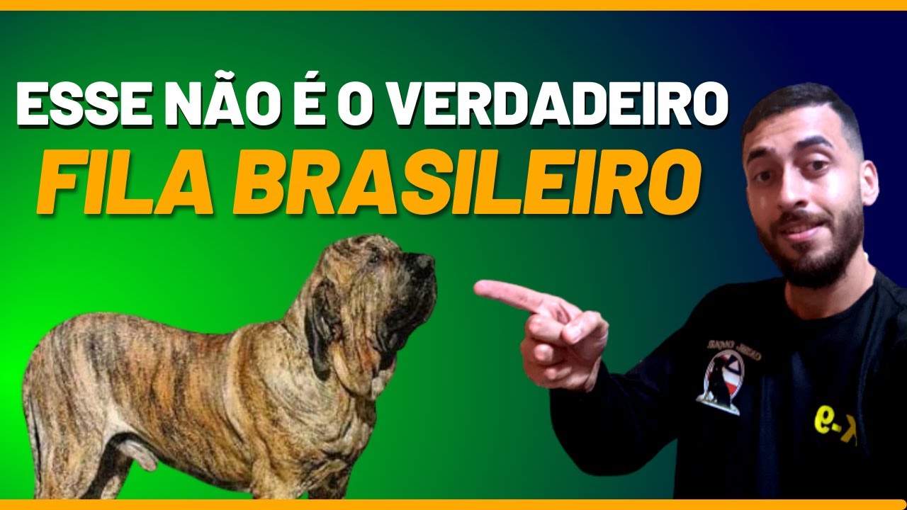 [ORIGINAL] Fila Brasileiro - O VERDADEIRO CÃO DE FILA BRASILEIRO!