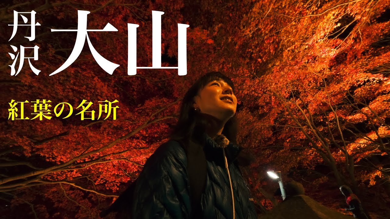 【丹沢大山】紅葉ライトアップ2025！ケーブルカーで絶景の阿夫利神社へ。混雑状況や見どころを解説