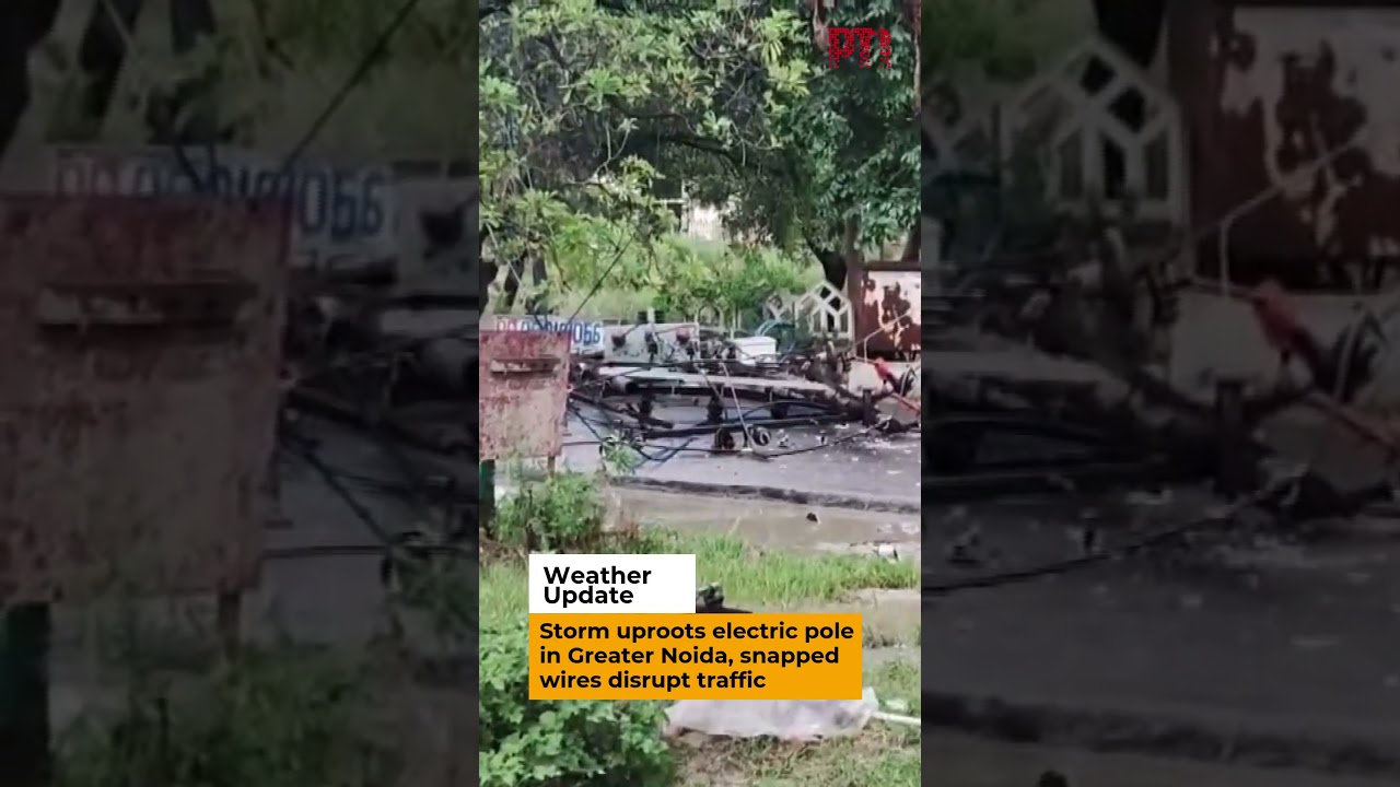 Storm uproots electric pole in Greater Noida, snapped wires disrupt traffic