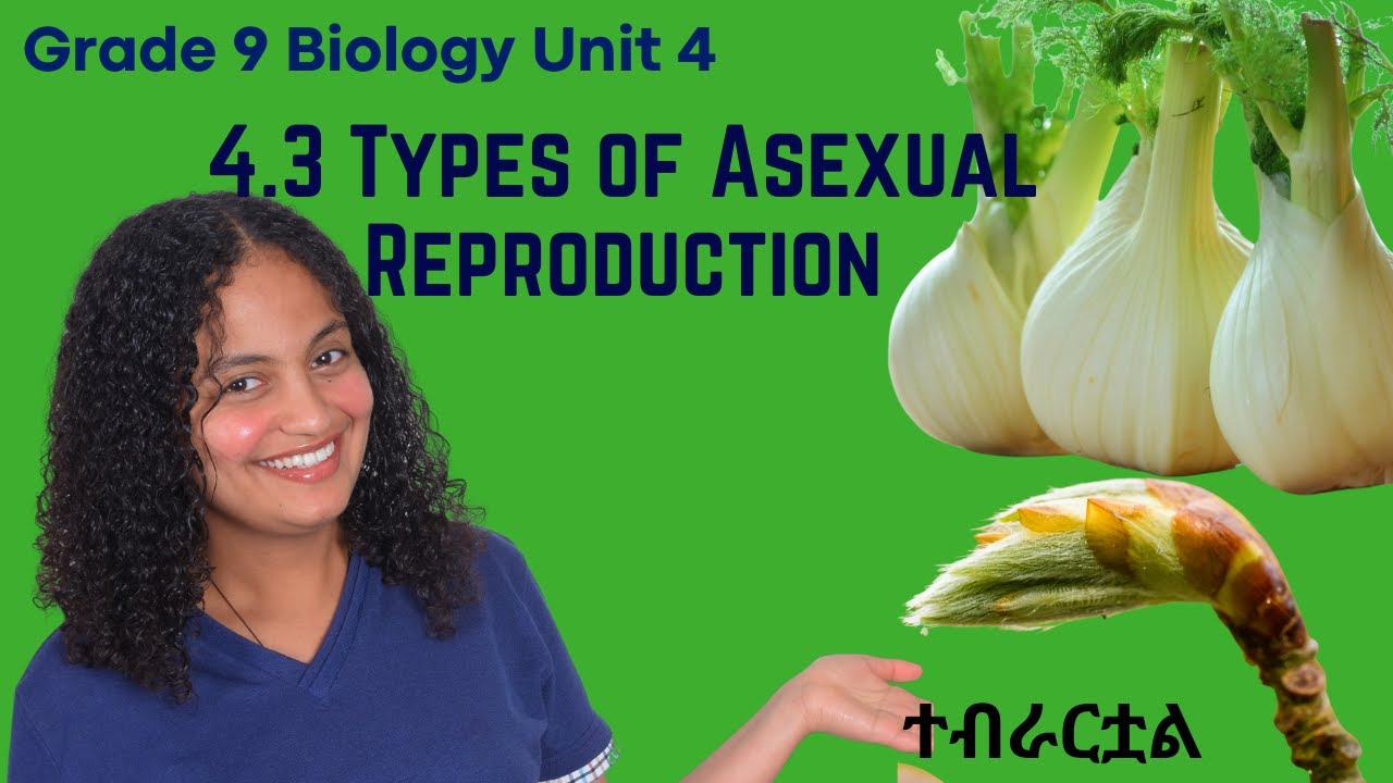Grade 9 Unit 4 : 4.3 Types of Asexual Reproduction|saquama|